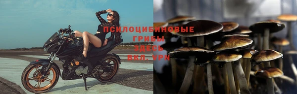 прущие крисы Алексеевка