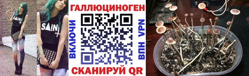 купить сайты сайты даркнета клад Псилоцибиновые грибы Magic Shrooms Фёдоровский